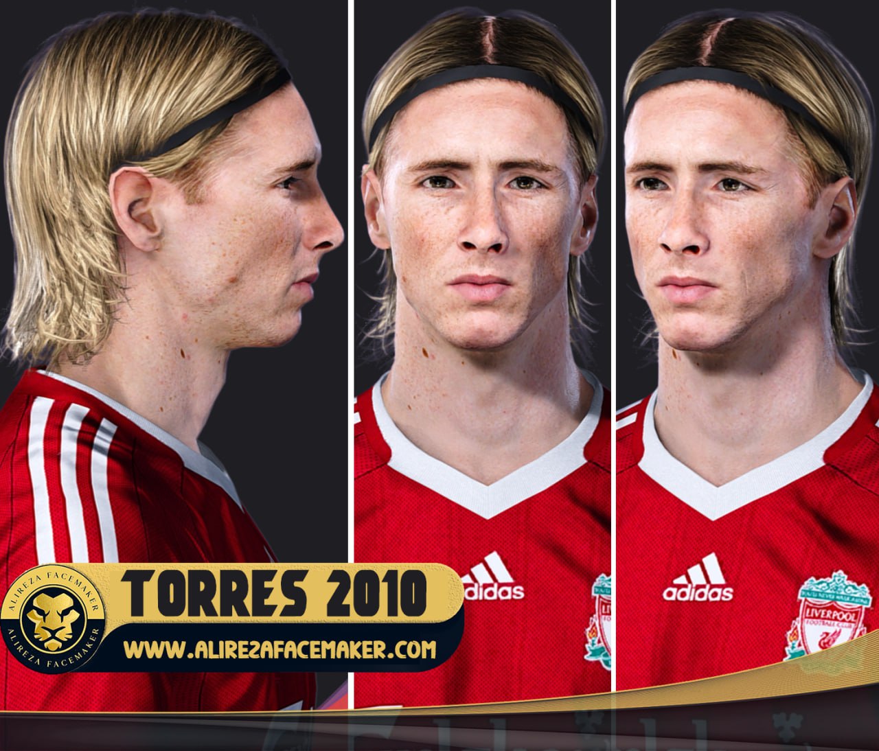 fernando torres 2010 by Alireza Art 3D — image 2