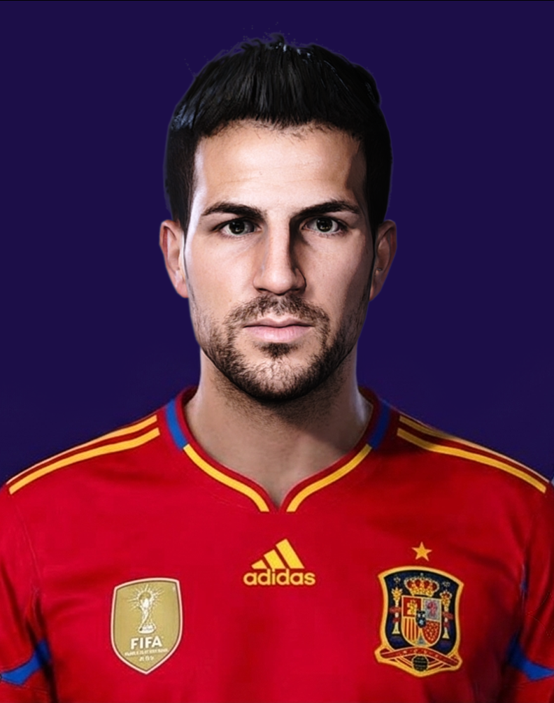 Fabregas 2010 by Scot Jic