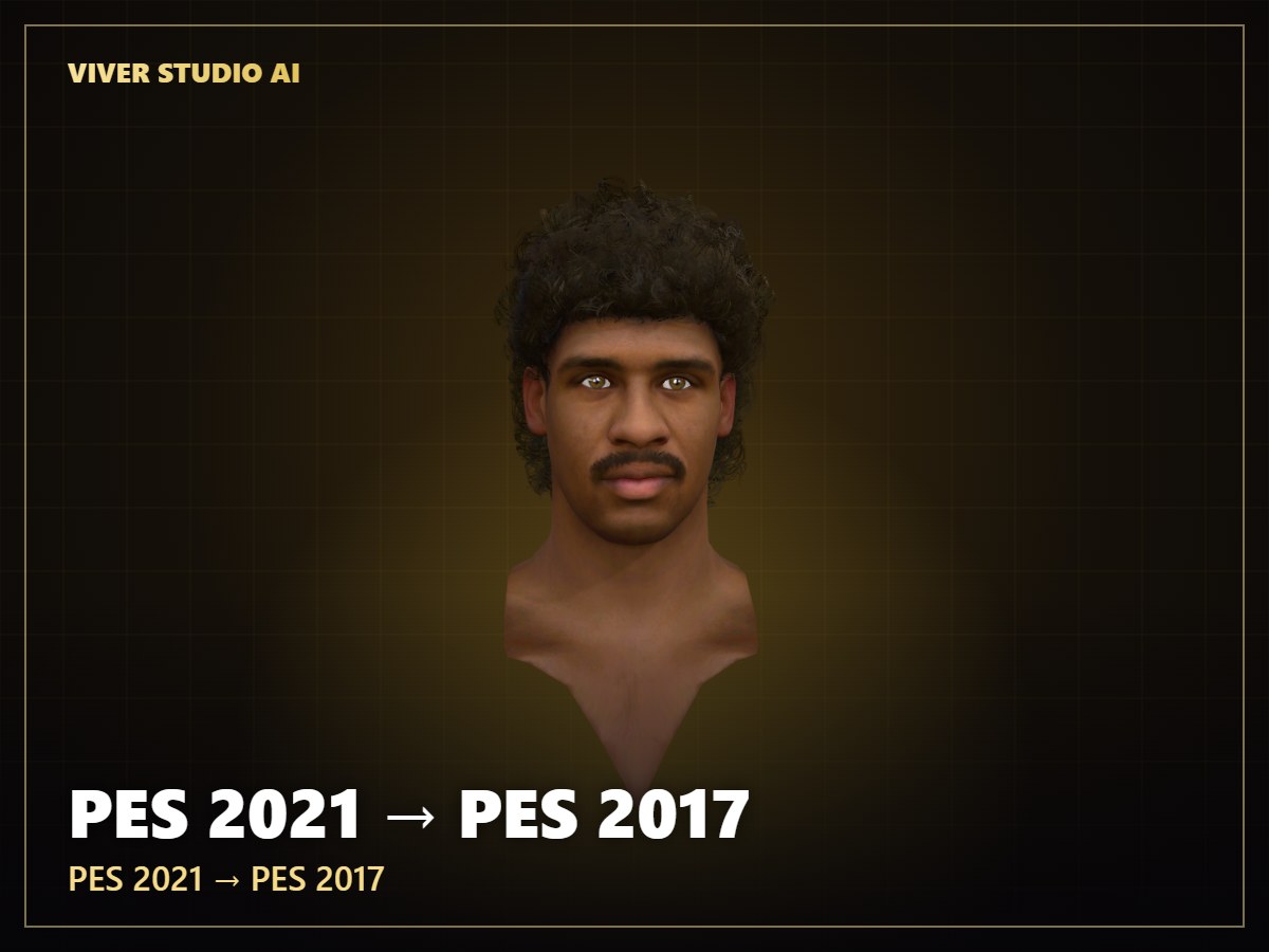 Rijkaard by Viver softwar